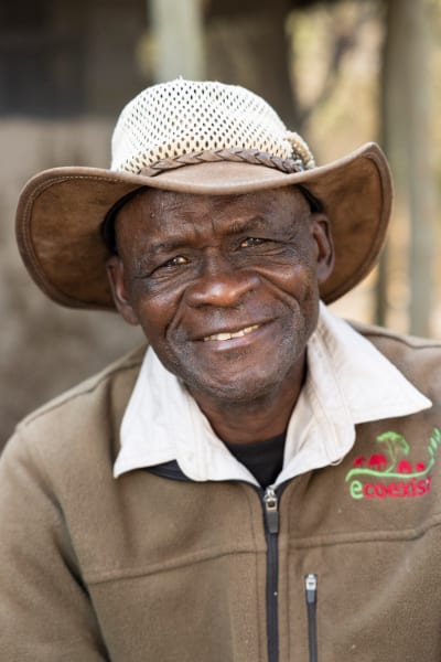 Papadi Mweze